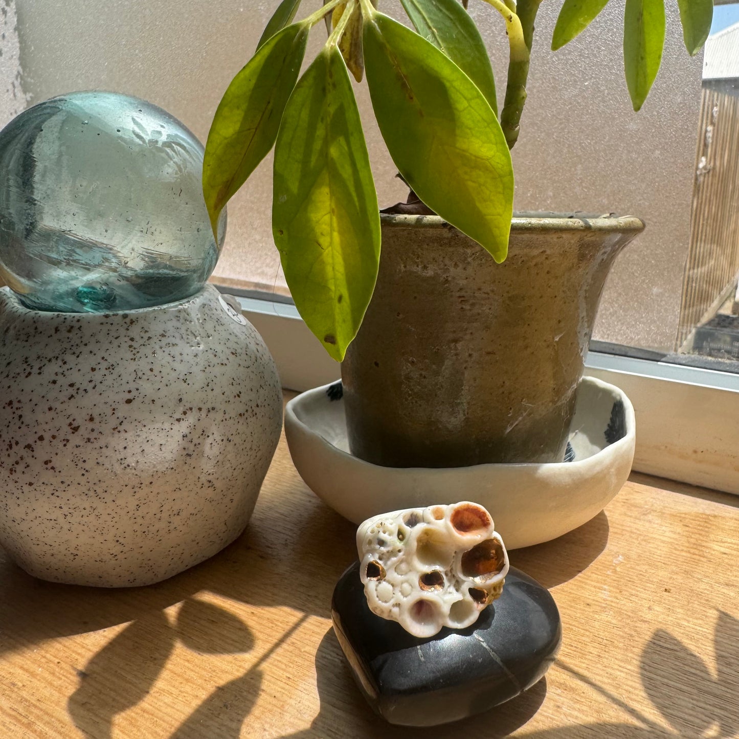 One Watercolour Porcelain ‘Rock Coral’ Ring (Choose a Size)