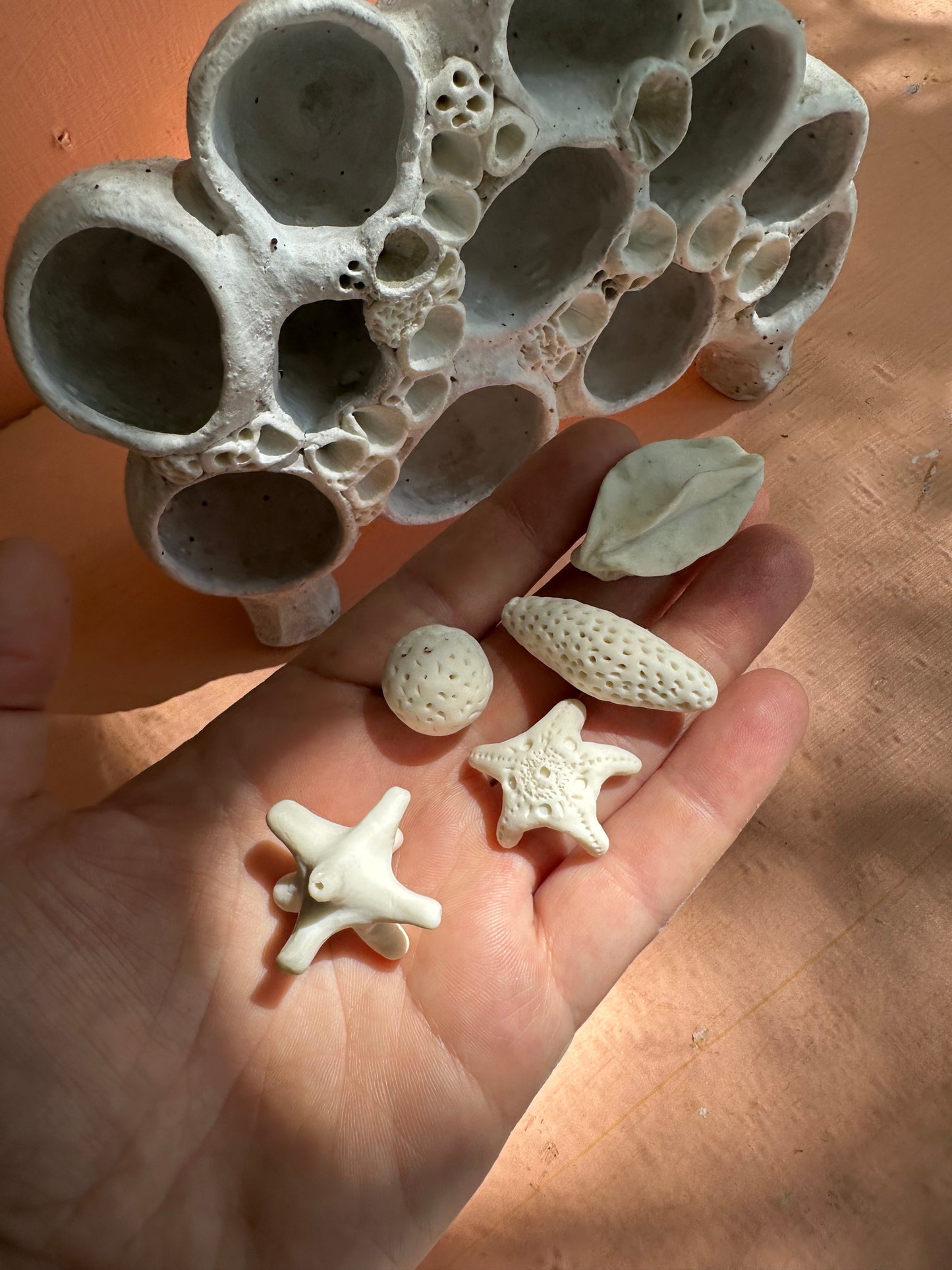 Coral ‘treasure shelf’ and accessories